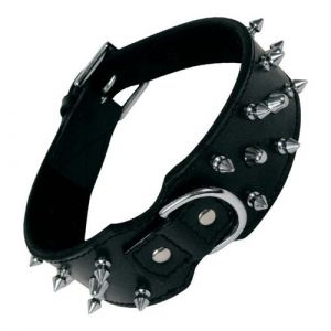Gloria Collier pour Chien Clous 65 cm Noir