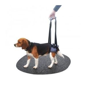 Harnais handy-canis pour chien paralysé Train arrière Taille XL