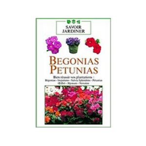 Bégonias et pétunias