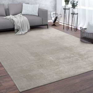 Paco Home Tapis De Salon Poils Ras Lavable Monochrome Style Moderne Argent 200 cm rond