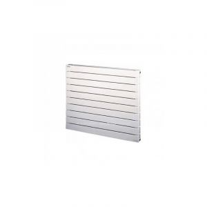 Image de Acova Radiateur chauffage central - FASSANE Prem's Horizontal double 1554W SVXD-074-120