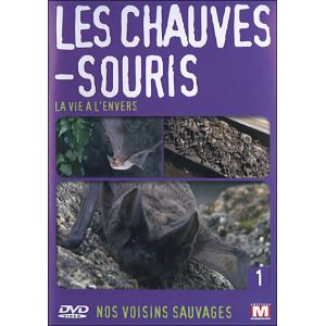 Nos voisins sauvages : Les chauves-souris, La vie à l'envers