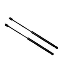 Febi Bilstein V&eacute;rins de hayon / coffre &agrave; bagages 44005