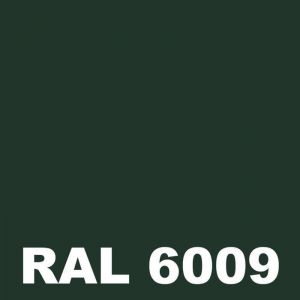 Peinture Facade - Metaltop - Vert sapin - RAL 6009 - Pot 5L