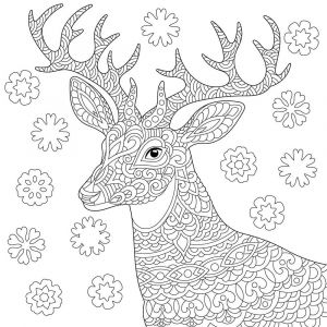 Ceanothe Tableau sur toile à colorier cerf 30x30 cm