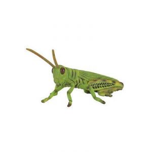 Image de Collecta Figurine insecte Sauterelle