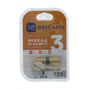 BRICARD MEDIAL 1756 Cylindre 30+30 mm double entrée laiton jaune niveau de sécurité 3