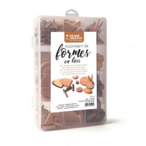 Graine Créative Lot de pièces de bois