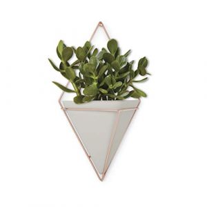 Image de Umbra Trigg Jardinière Suspendue et Décoration Murale Géométrique Pour Petite Plante, Plante Succulente et Bien Plus Encore, Béton/Cuivre, Grand