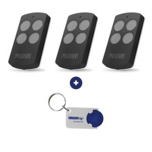 Fadini Lot de 3 télécommandes VIX 53 grise - 868,19 Mhz + 1 Porte-clés DOMOBIP