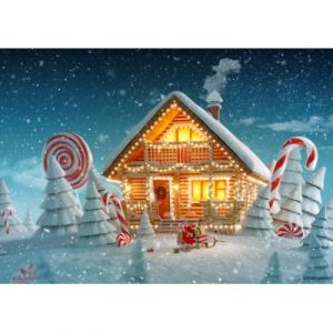 Image de Bluebird Puzzle Christmas Cottage