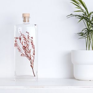 Th&eacute;ophile Berthon Plante immerg&eacute;e Lepidium rouge H26