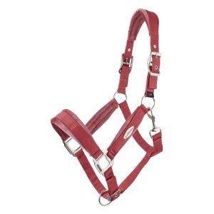 Lemieux Licol nylon Versailles