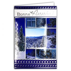 Carte Bonne Année Meilleurs Vœux Argenté avec Enveloppe Nature en Hiver sous la Neige Flocons Forêt Sapins Noël Paysage Montagne Oiseau Cerf Renne Barques Eau Bleue Gelée Souhaits 61-4053-B BA