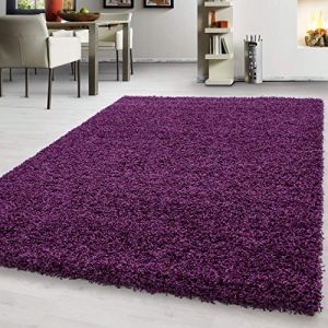 Teppium Tapis à poils longs tapis shaggy moderne monochrome tapis de salon à poils longs [Violet, 120 x 170 cm ] Rectangulaire