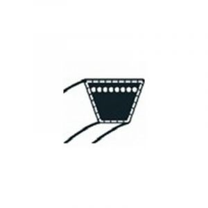 Global Garden Product - 135064100/0 - Courroie Z30 pour tondeuse Castelgarden / ggp / Mac Culloch