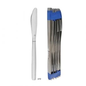 Amefa PRADEL ESSENTIEL - 12 couteaux de table - Baltics - Acier inoxydable 18/0, Finition Standard - Longueur 206 mm