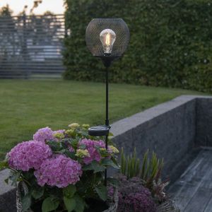 Image de Star Trading - Lampe solaire de chemin Sunlight - Path