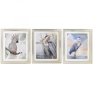 Cadre DKD Home Decor 40 x 1,6 x 60 cm Oiseaux méditerranéen (3 Pièces)