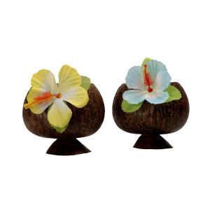 Image de Coupe noix de coco Hawaï