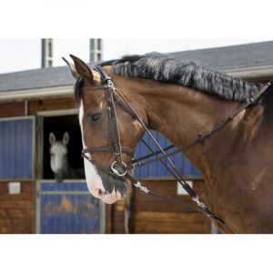 Riding World Gogue