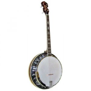 Image de Gold Tone TS-250 - Banjo Tenor Special (+ &eacute;tui)