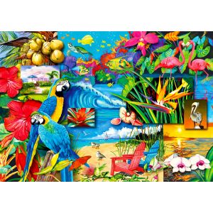 Trésors Tropicaux