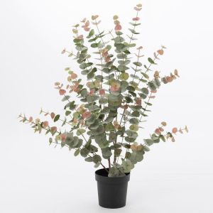 Amadeus Eucalyptus 120 cm