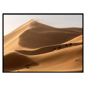 Toile imprimée Bianca 50x70cm Desert