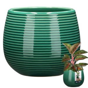 KOTARBAU Pot de fleurs rond en céramique - Turquoise - : 12 cm - H : 14 cm - 1 pièce - Céramique émaillée