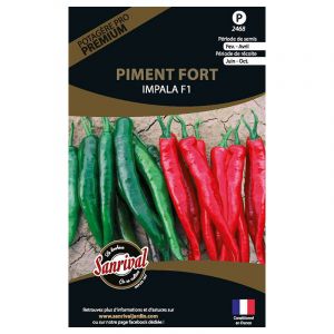 Graines potagères premium piment Fort Impala