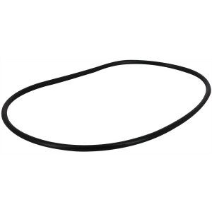 Image de Astral Pool Joint de couvercle filtre SAB - Pièces détachées -