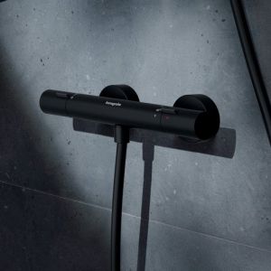 Hansgrohe Ecostat Fine Mitigeur thermostatique, pour douche, 13324670,