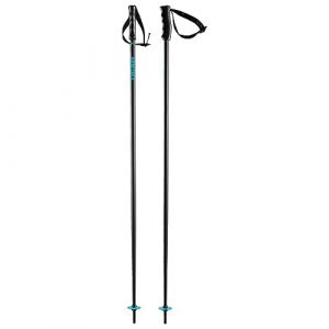 Head Bâtons de Ski Multi Skistöcke Unisexe-Adulte, Bleu, 135