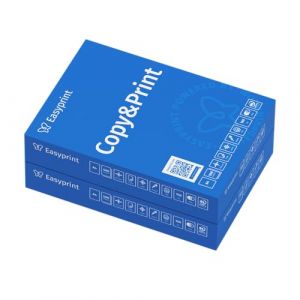 Easyprint Papier pour imprimante et photocopieur 1000 feuilles 2 x 500 A4 blanc premium certifi&eacute; PEFC