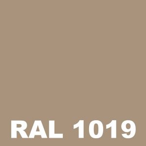 Peinture Escalier Metal - Beige gris - RAL 1019 - Pot 5L