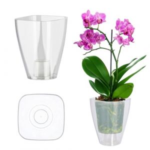 Pot de fleurs, mince et simple pour orchid&eacute;e, marguerite, pour cuisine et salon, diam&egrave;tre 9 cm, rectangulaire, transparent - Kadax