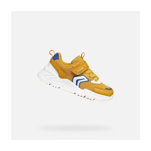 Geox Loftus Boy - 36