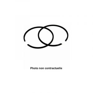 Image de Greenstar 7890 Jeu de segment adaptable pour Briggs - Stratton