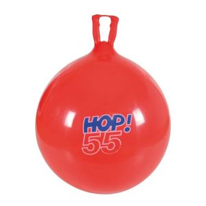 Gymnic Ballon enfant Hop