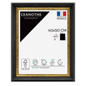 Image de Ceanothe Cadre photo Pandore noir argent 40x50 cm