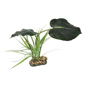 Komodo Accessoire de terrarium Woodland Canopy