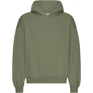 Sweatshirt à capuche oversize Colorful Standard Organic Dusty Olive