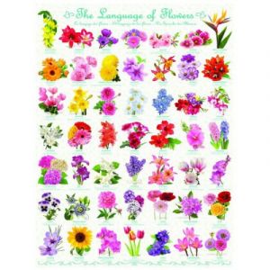 Eurographics Le language des Fleurs