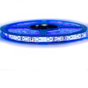 Image de SysLED Kit Ruban Professionnel 3528 - 60 leds/m - 1m, 2.5m, 5 ou 10 mètres au choix- Bleu anti-éclaboussure (IP65) - Transformateur : Alime