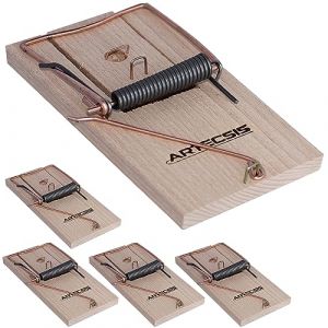 Artecsis Lot de 5 Pi&egrave;ges &agrave; RatsGrande Tapette en Bois 165x85cm