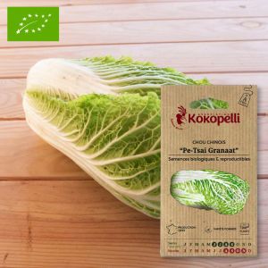 Graines bio &agrave; semer - Chou Chinois Pe-Tsai Granaat