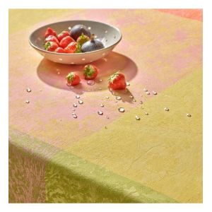 Nappe enduite pur coton Mille esprit jardin