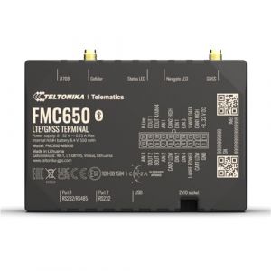 Teltonika FMM650 - Dispositif de suivi GPS/GLONASS/GALILEO/BeiDou/QZSS - 16 Mo