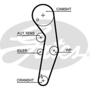 Image de Gates Courroie de distribution 5569XS